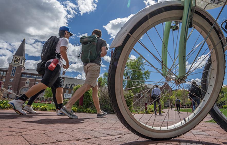 bicycle photograph